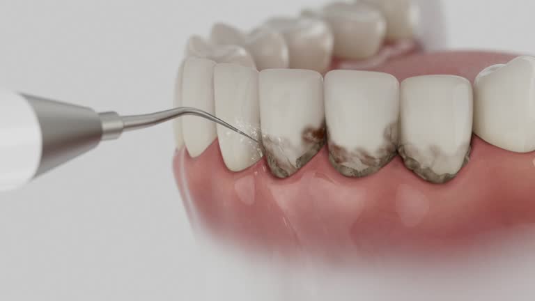 Reliable Dental contractor in King Cove, AK by Dentist Open Now